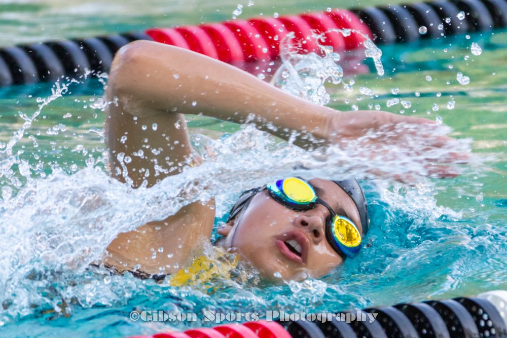 GibSportsPhoto's tweet image. Who likes competitive swimming!? So enjoyable to capture some of the talent at last week's Windsor/Piner HS meet. #CaptureTheAction