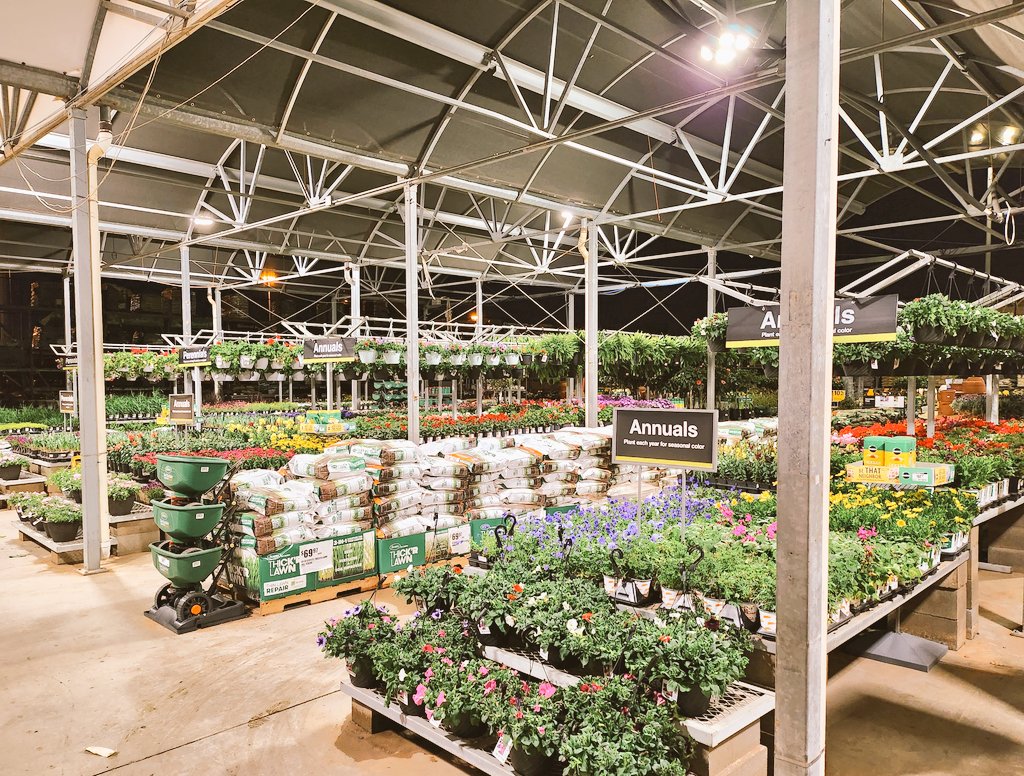 Alfred Gauna tweet media