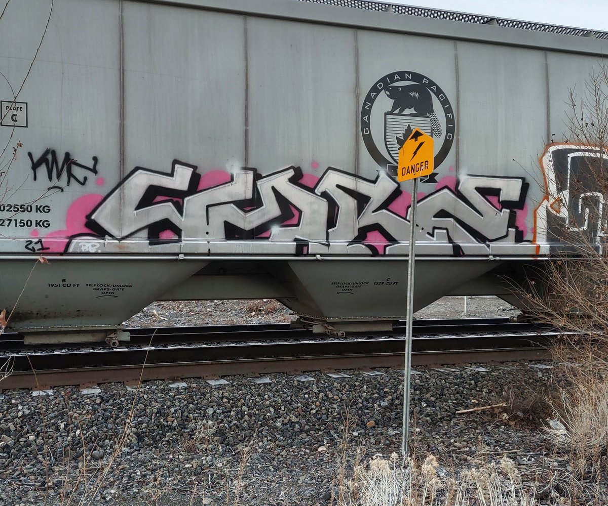 GraffitiExpress's tweet image. yore
#kamloops #train #graffiti #art
#yore