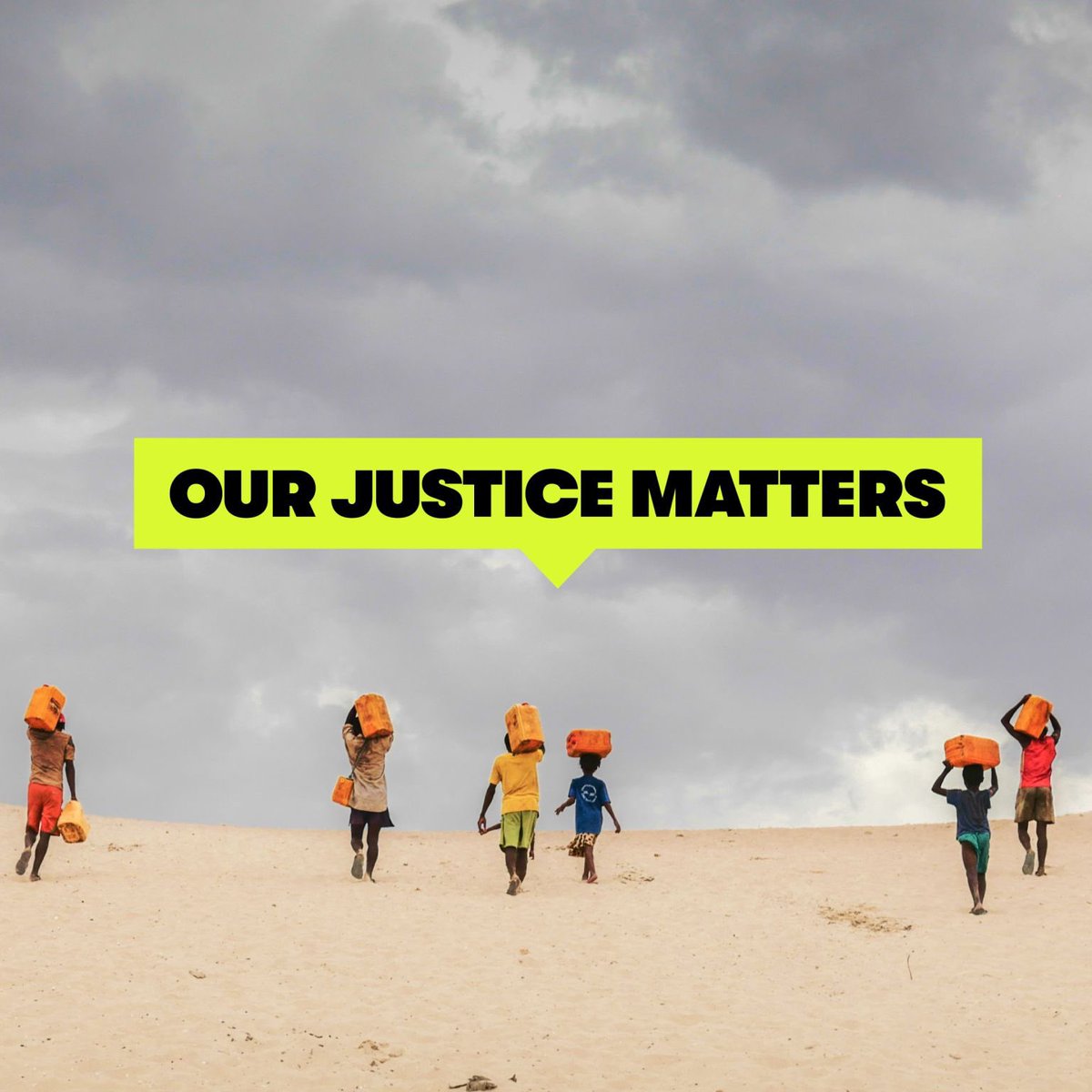 Marissa Louie tweet media