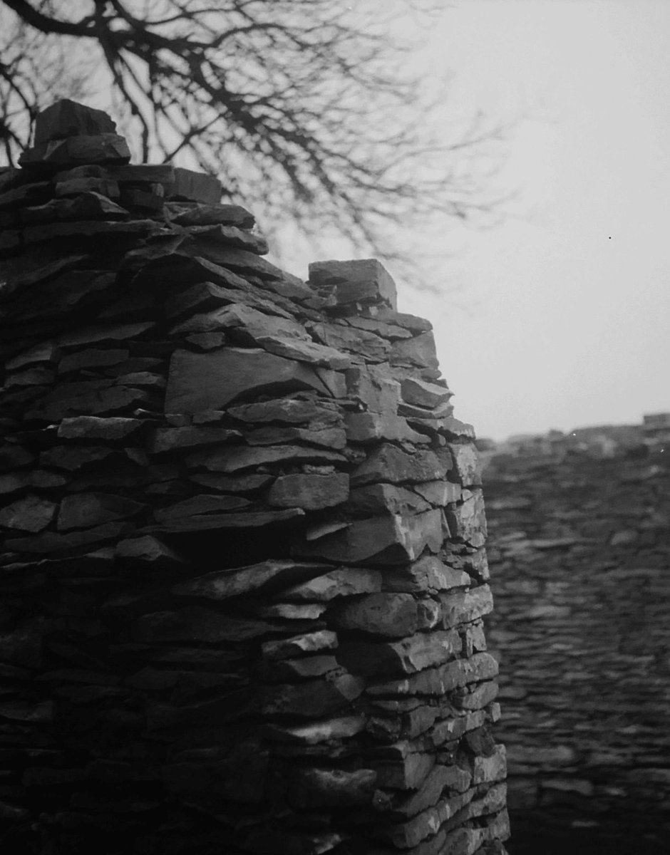 #fomapan #monochrome #analog #blackandwhitephotography