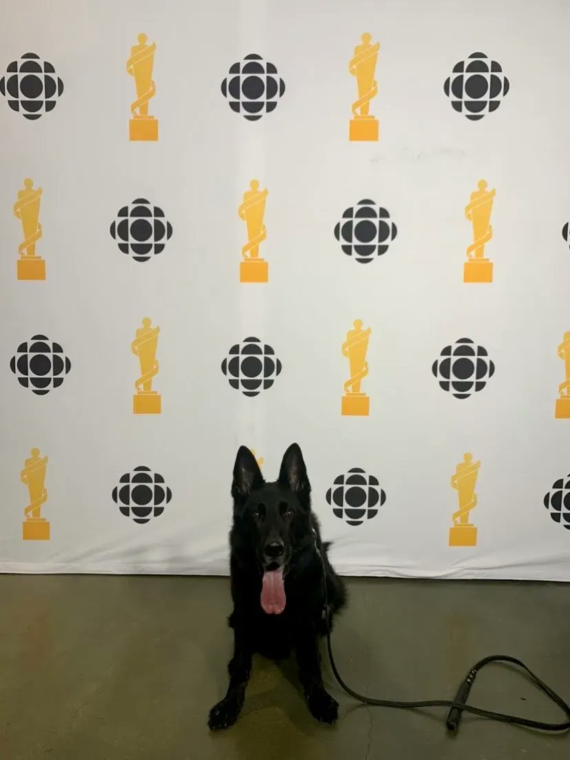 K9unit_ASP's tweet photo. ASP K9 had the honours of servicing the #2023JunoAwards. This is a major event that recognizes the best recordings, compositions and artists of the eligibility year. To discuss a solution for your detection needs give us a call for your next event! https://t.co/AoTU4jAJCN