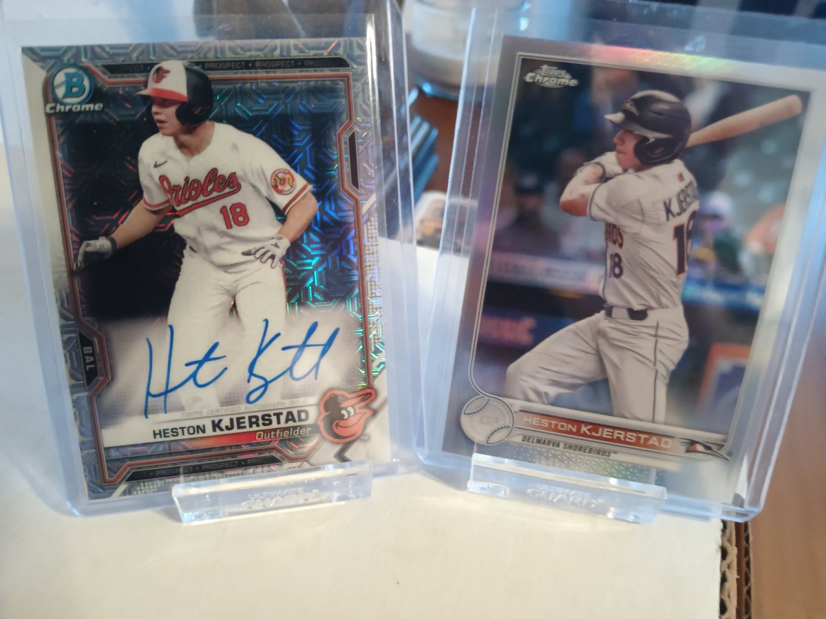 FloridaOriole's tweet photo. #mailday #birdland #kjerstad https://t.co/7szxJYYxP0