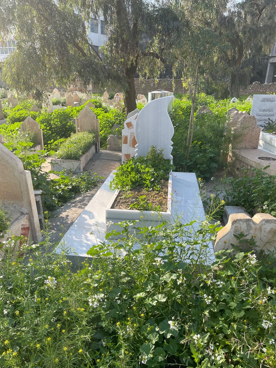 سألتك اللهم في رمضان أن تنزل ضياء على قبر أمي وأبي  وسعة تؤنس وحشتهم، واجعلهم روضة من رياض الجنة، اللهم اجعل أمي وأبي  من الضاحكين المستبشرين بجنتك الشاربين من حوض نبيك ربي اغفر لهم وارحمها  برحمتك يا رحمان 🌸