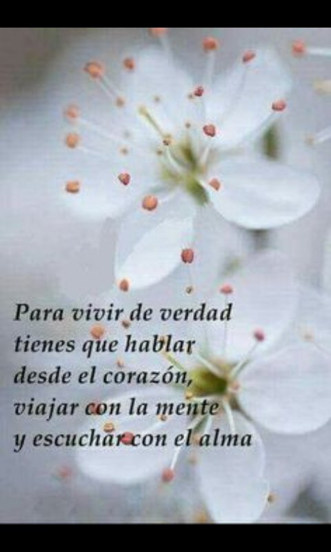 ErikaAlemanH's tweet photo. De así es la vida, https://t.co/MmUUE6N5dY