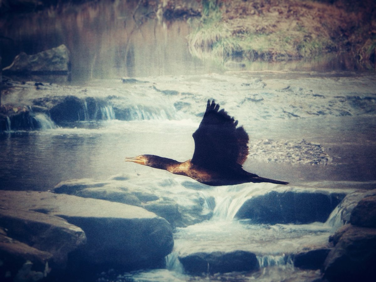 PapaBeardedNFTs's tweet photo. Wanting to have a place for everything, and in contrast to the previous collection I've got a spot for heavy edits

#PBedits is a place that can be any sort of style that's heavily edited photography from me

Only 1 piece on secondary atm for 5 $XTZ
https://t.co/pqOkn1l2nA https://t.co/pz8hRB8tEx