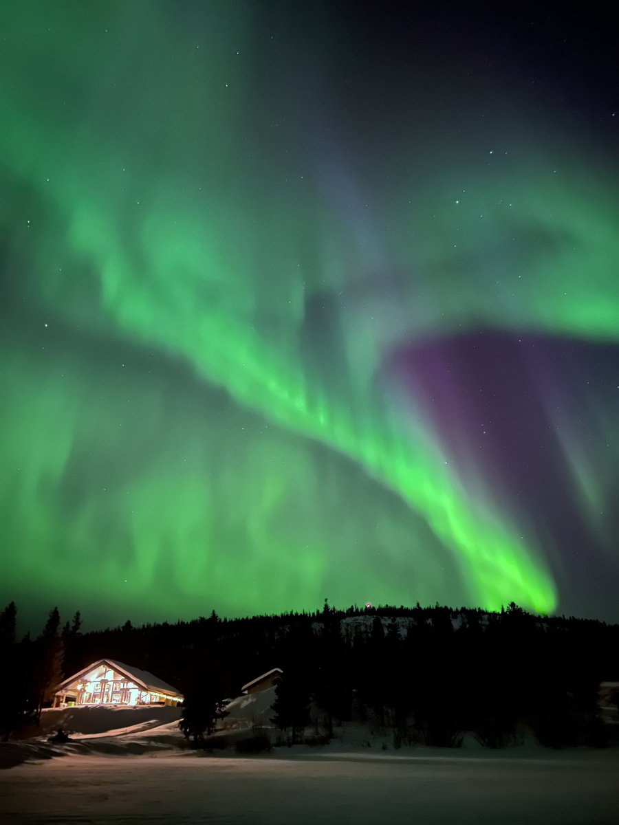 saschavs01's tweet photo. Schone afsluiter van de trip naar Noord Zweden voor @terzaketv  #auroraborealis #aurora #noorderlicht #northernlights #sweden https://t.co/Ui9MZnDcUY