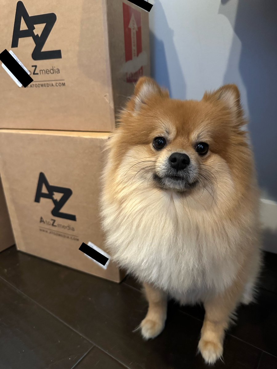 He’s guarding the boxes of TOTL vinyls … no funny business