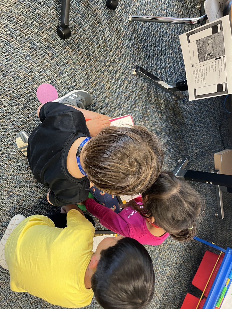 Alyssa Boudny tweet media