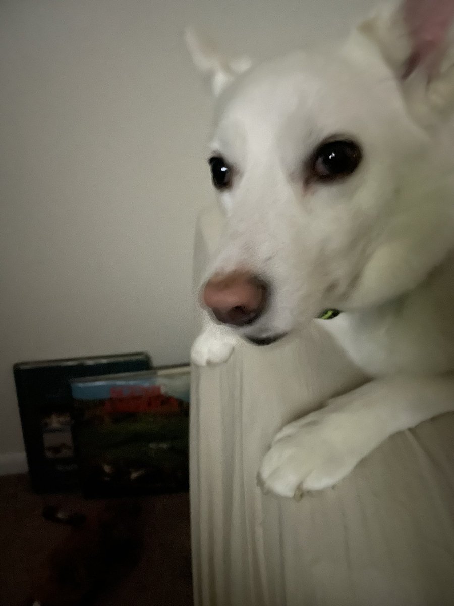 Barry Fitzgerald Sr tweet media