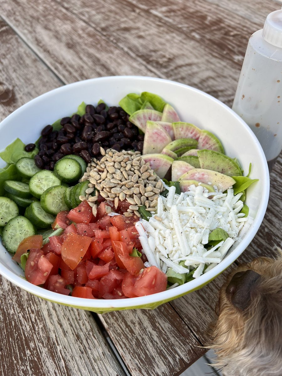 tiandrawilde's tweet photo. This is what I call a perfect dinner. 

SALAD!🥬💚

Black beans, cukes, toms, vegan cheese, radishes, sunflower seeds, green onions, raisins, &amp; a whole head of butter leaf lettuce. YUM! 

Homemade Dressing Recipe:
2 parts olive oil
1 part molasses
1 part apple cider vinegar https://t.co/9KXyLtFaJc