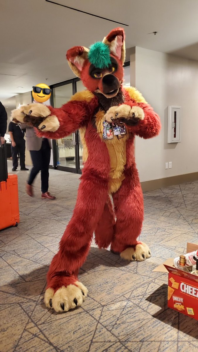 #MixedCandyMonday at #TFF2023 . Had to do a little shuffle before I left. Happy #NationalCoyoteDay 

📷 @Opda2056