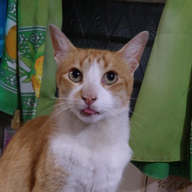 Mi bebito es el mas tierno del mundo ! https://t.co/sgERic61M1<a href="/tag/atomicheart"class="tags"><span>#atomicheart</span></a>