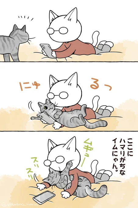 #今日の山野絵
ここにハマりがちなイムにゃん🐈 