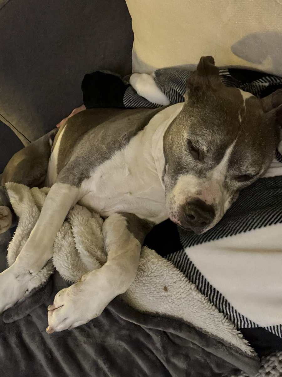 Katy Winge tweet media