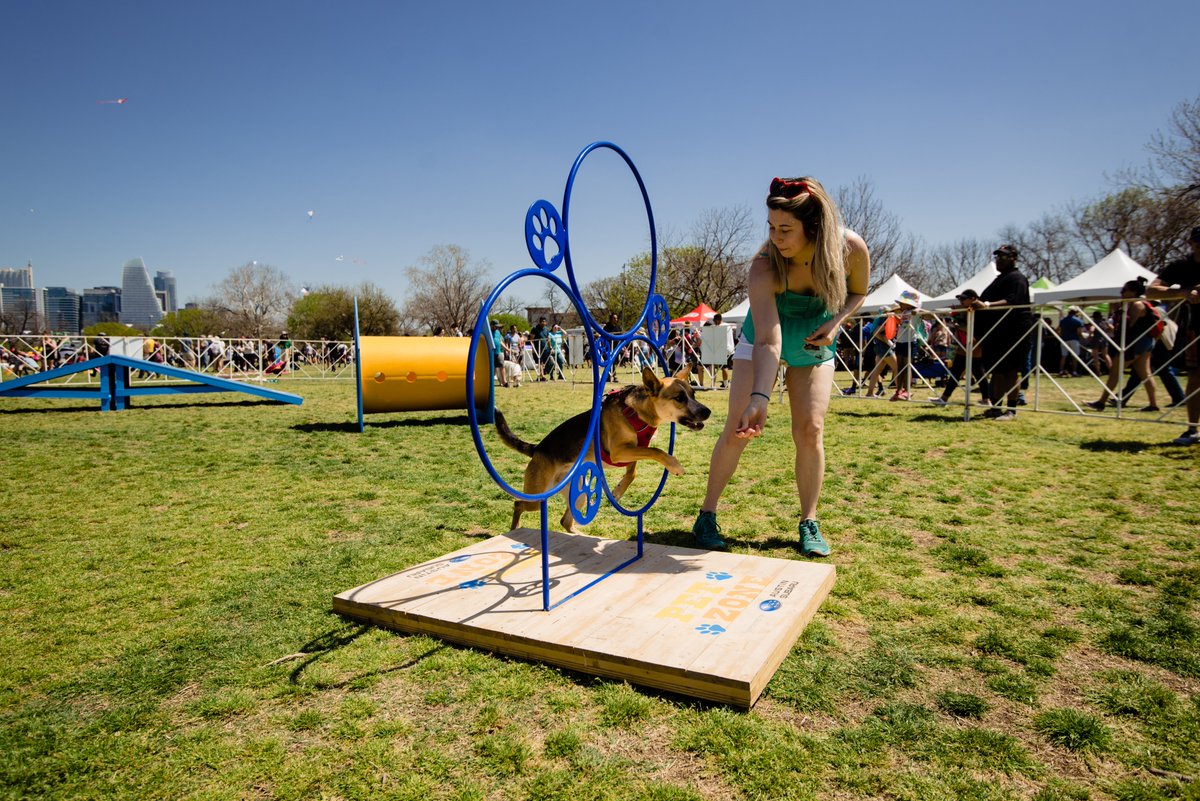 abckitefest's tweet photo. Calling all dog owners! @AustinSubaru is sponsoring this year's #ABCKiteFest Pet Zone and we know the dogs are going to have the best day ever thanks to them! 🐶🐾 There will be a variety of dog-friendly activities, including a three-ring jump and tunnel run. https://t.co/baJKfWPuVZ