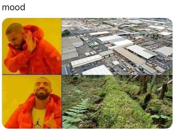 defendATLforest's tweet image. 