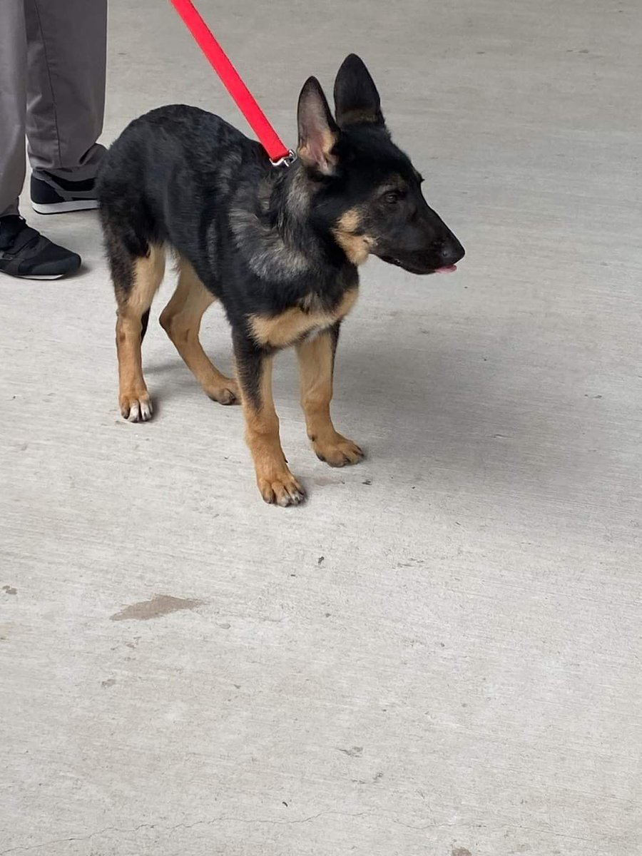 TBCC Local 708 tweet media