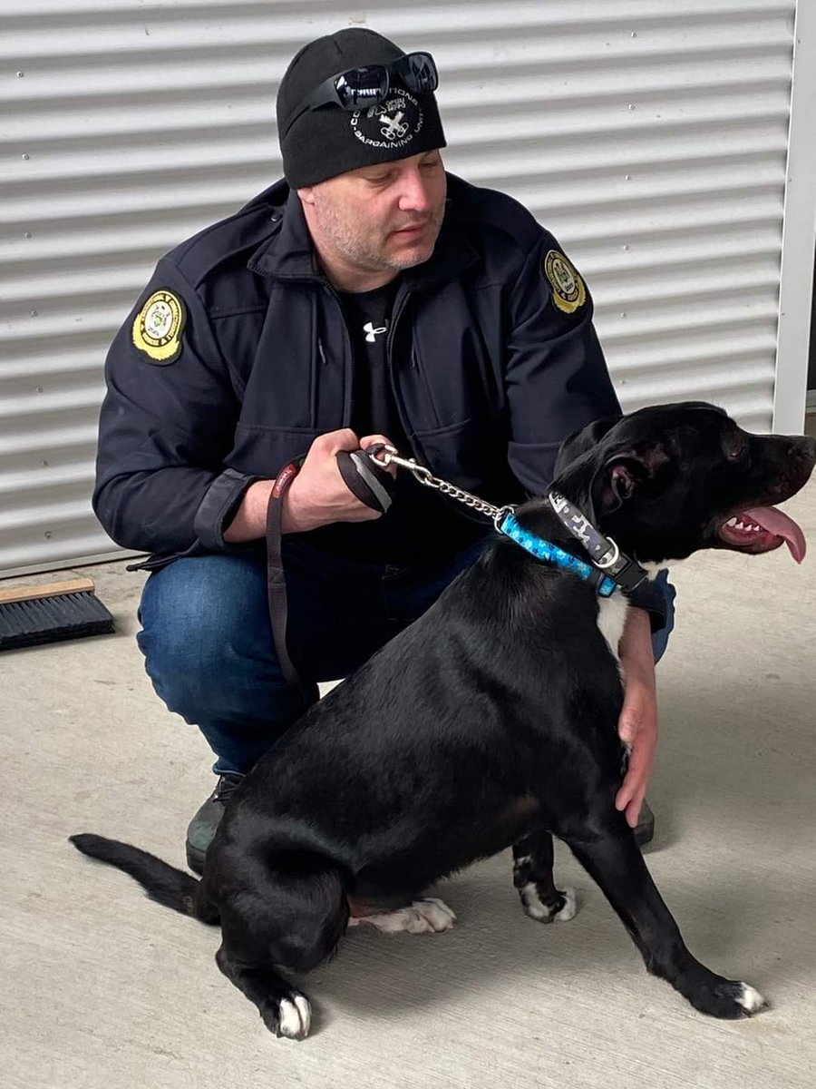 TBCC Local 708 tweet media