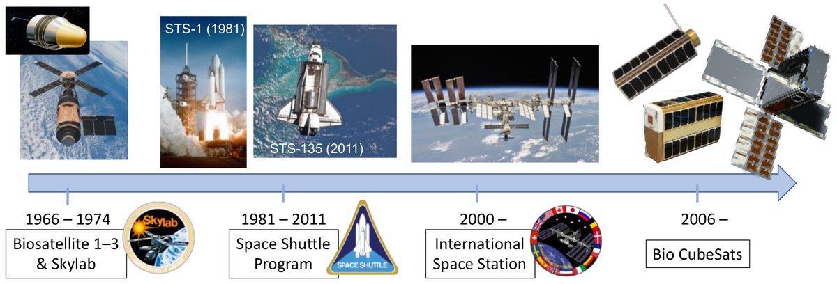 Biosensors_MDPI's tweet photo. Review by Ada Kanapskyte et al.| Space Biology Research and Biosensor Technologies: Past, Present, and Future
https://t.co/HqQQNEwgK8
@MDPIOpenAccess
@NASA
@OhioState
@UNM
#electroanalysis #plant #fingerprints #biometrics https://t.co/JF0ZmPncQ0