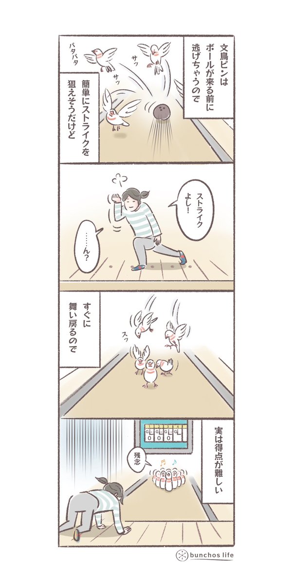 昨日の続きです
#文鳥 
#4コマ漫画 