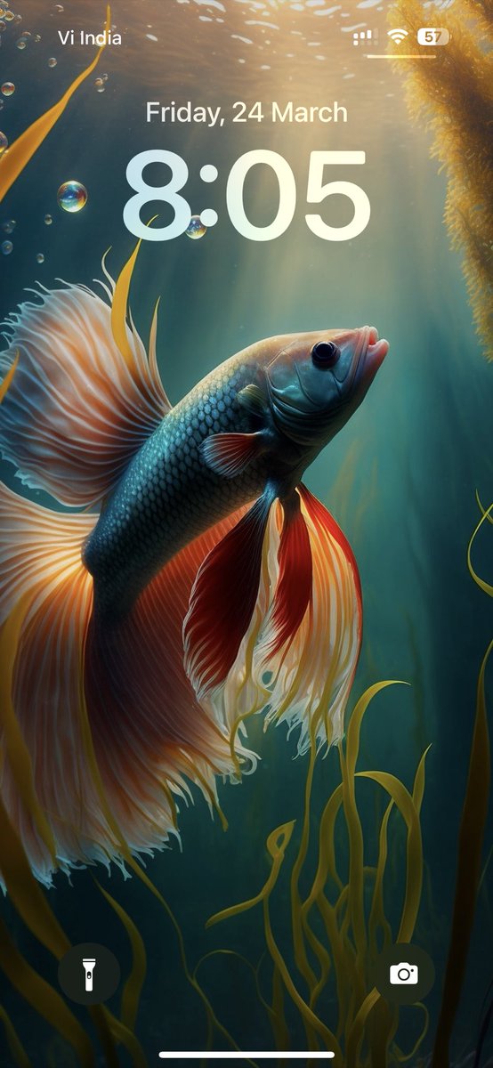 malytopol's tweet photo. New day, new wallpaper! #iPhone14Pro https://t.co/D7OVqZh2f1