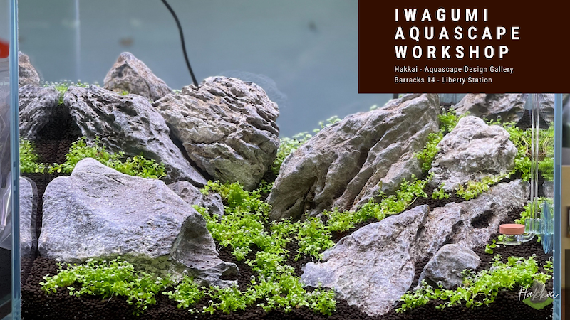 PetZoneSanDiego's tweet photo. April Schedule: Dive into Hakkai's Enchanting Aquascaping Workshops! - https://t.co/qs9OhlcS1V https://t.co/lAGpYGmaki