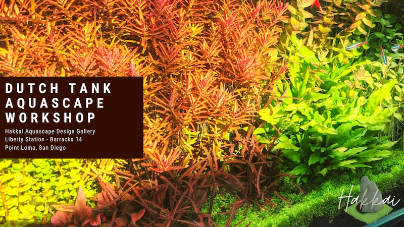 April Schedule: Dive into Hakkai's Enchanting Aquascaping Workshops! - eepurl.com/inA7Hc