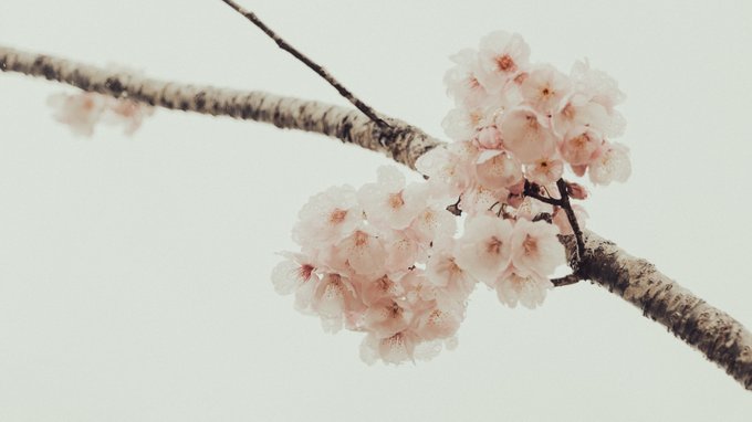小雨 