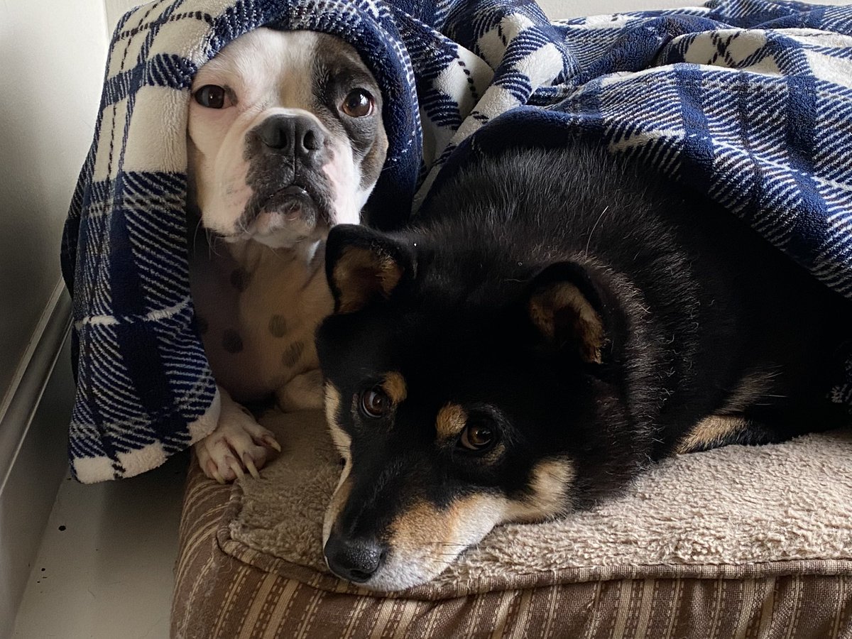 Sunny DSL tweet media