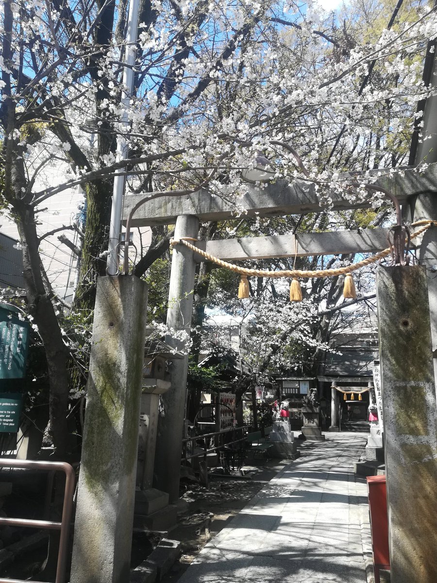 これからランチしてきます😋🍴💕