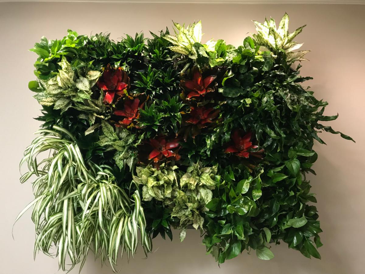 InsidePlants's tweet photo. https://t.co/WIcrbTRZxG https://t.co/6ORkmfiK8L