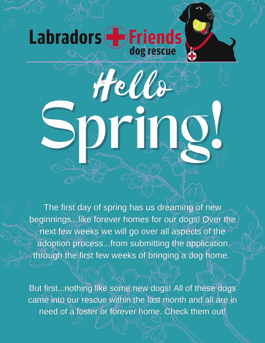 LabsAndFriends's tweet photo. Our newsletter contains new beginnings and old friends: 
https://t.co/3IxNbryaHY
https://t.co/VemEbcB0W6 https://t.co/UU0q0VFDoH