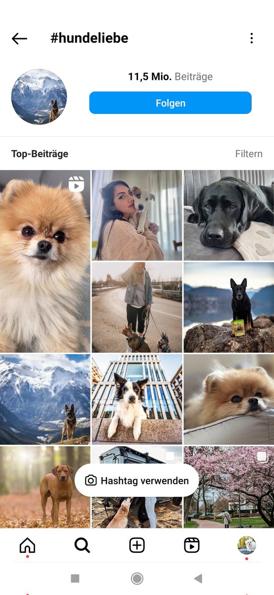 CryphisG's tweet photo. @instagram need help. In one of my Accounts the "recent" Menu in Hashtags disapiert. Is this Bug allready known? How can I fix it? https://t.co/iGQrVDIJQz