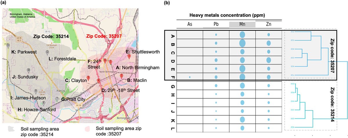 EnvRes_AMR's tweet photo. Find our @admiraladkins, recently published article on the impact of heavy metals on soil bacterial community and  #AMR prevalence at  Superfund sites, Birmingham, AL USA @ASMicrobiology @PostdocVoice #pollution #EnvironmentalJustice https://t.co/xeXOkHjION https://t.co/yryqPjFsoG
