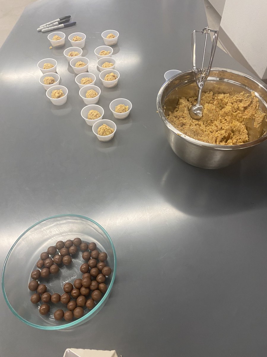 JamieFieldhouse's tweet photo. #6thGradeScientists @VistaRidgeMS have been using cake ball models & 3D chalk drawings to explore layers of the Earth! 🌍 @KISD_Science @MsAttleeVRMS #EveryPanther https://t.co/bvcnkeSDeJ