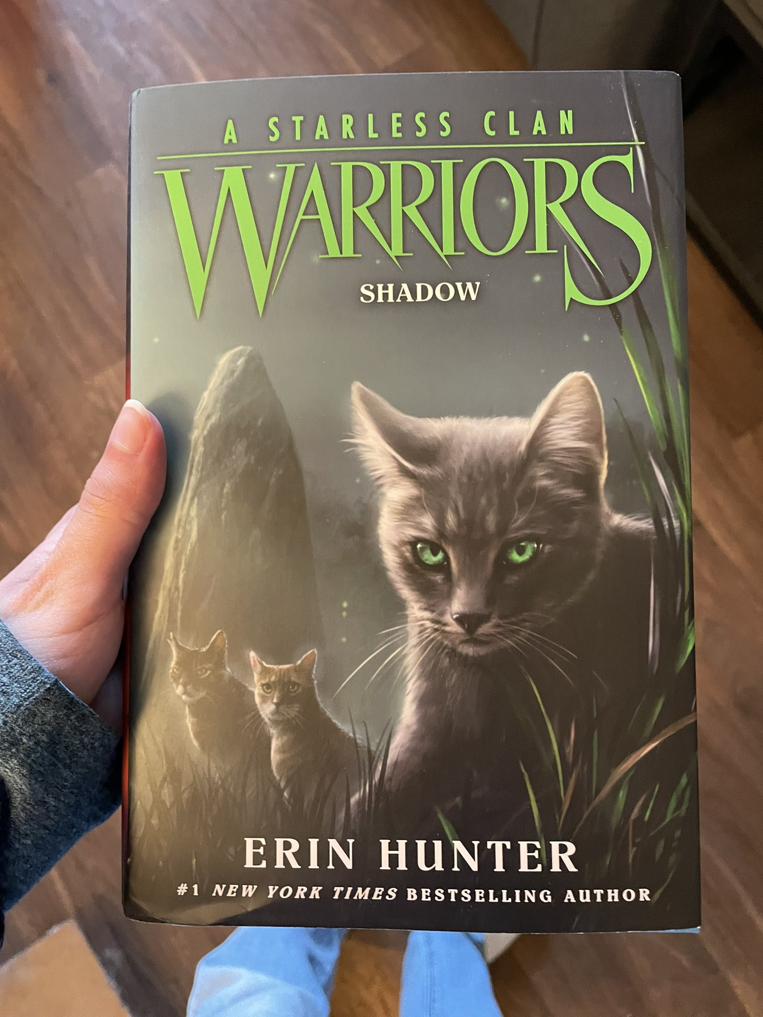 Every Warrior Cat Book in Chronological Order (2023) 