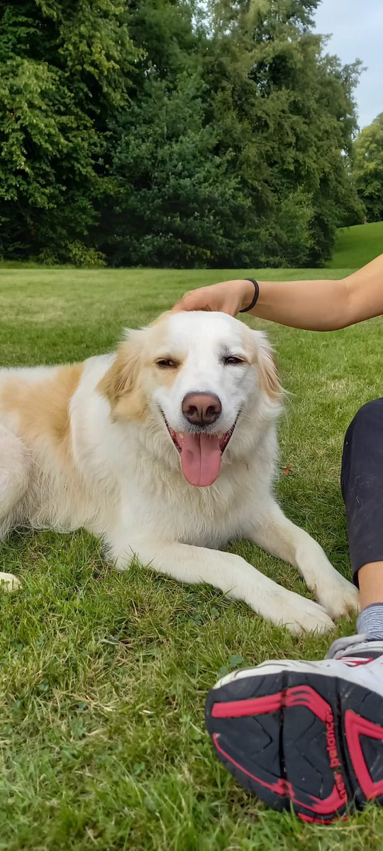 anna macdonald tweet media