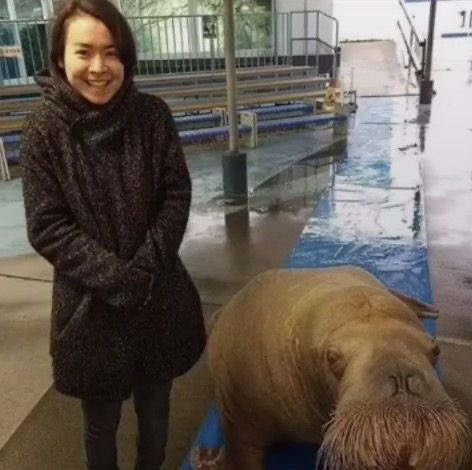 mitskidata tweet picture