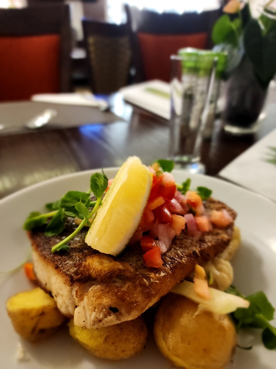 zaxon744's tweet photo. Cape Town layover was a food-gasmic delight
@CityofCT @SouthAfrica
#ostrich #springbook #deer #hakefish #seafood #amongotherthings https://t.co/YCeBVRH0rX