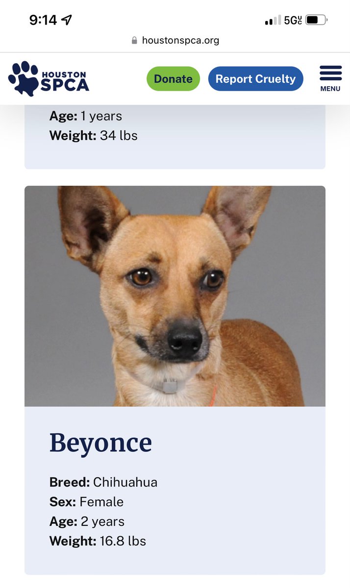 hold on Beyoncé I’m coming to get you rn