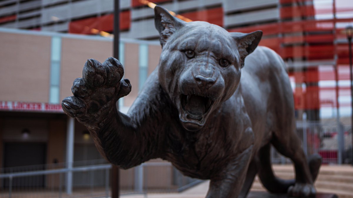 UHCougars's tweet photo. Rub the Cougar Paw! 

Send a virtual 👋🏼 and send some good luck vibes to @UHCougarMBK in the Sweet 16 tonight!  

#GoCoogs https://t.co/YbOTZo8xMC