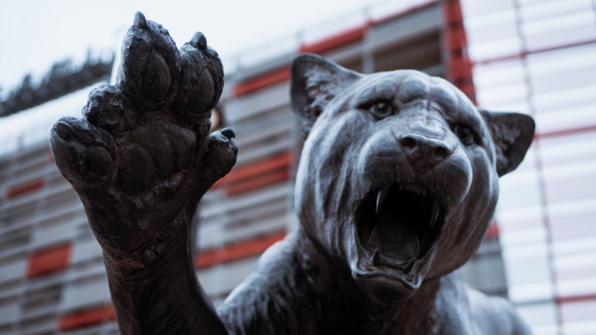 UHCougars's tweet photo. Rub the Cougar Paw! 

Send a virtual 👋🏼 and send some good luck vibes to @UHCougarMBK in the Sweet 16 tonight!  

#GoCoogs https://t.co/YbOTZo8xMC