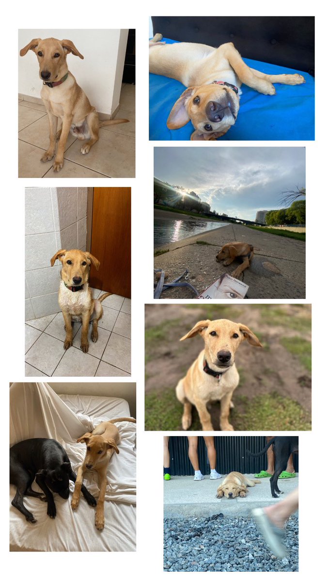 Hoy más que nunca necesito la colaboración de esta red social. Ayúdenme a difundir porfis💗