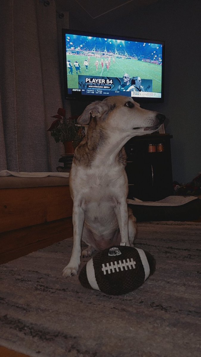 Kaufman_13's tweet photo. @XFLDefenders @ItsBrittWaters With her footballl &amp; the @XFLDefenders game on in the background 🖤❤️ https://t.co/MJnC2w75Jo