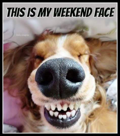 DentistryTfi's tweet photo. #weekendface #weekend #face https://t.co/mQs1ulxJiW