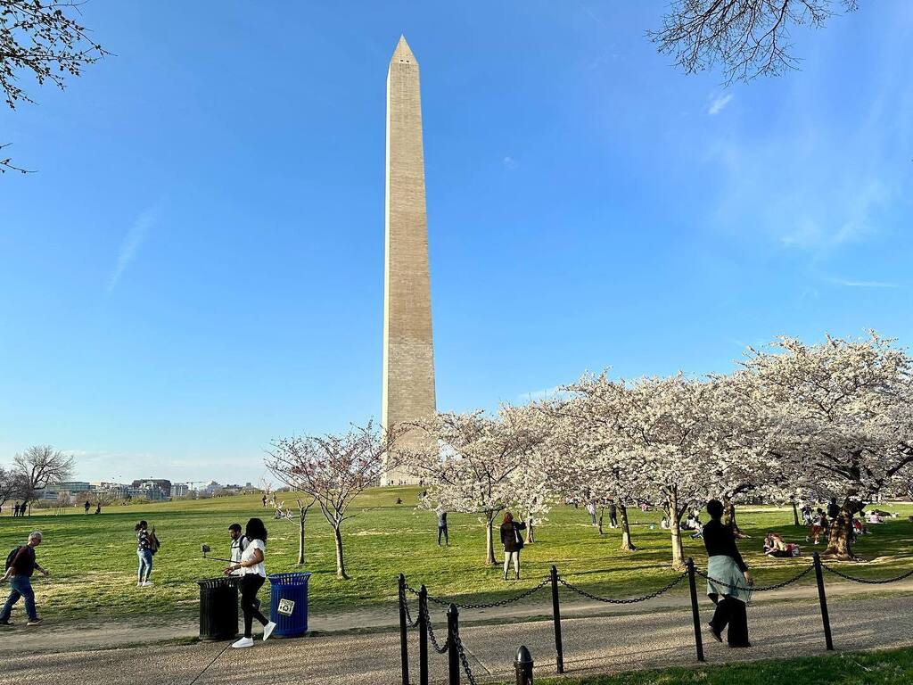 TheDMVWorkshops's tweet photo. The light has been so sweet from 6pm on.📱 Cant wait to bring a real camera back here Sunday. 📸 Nature showing off this spring in DC. #afterworkvisit #iphonephotography #cherryblossomdc2023 https://t.co/dEvuRYAWBO https://t.co/yGikEI2oU1