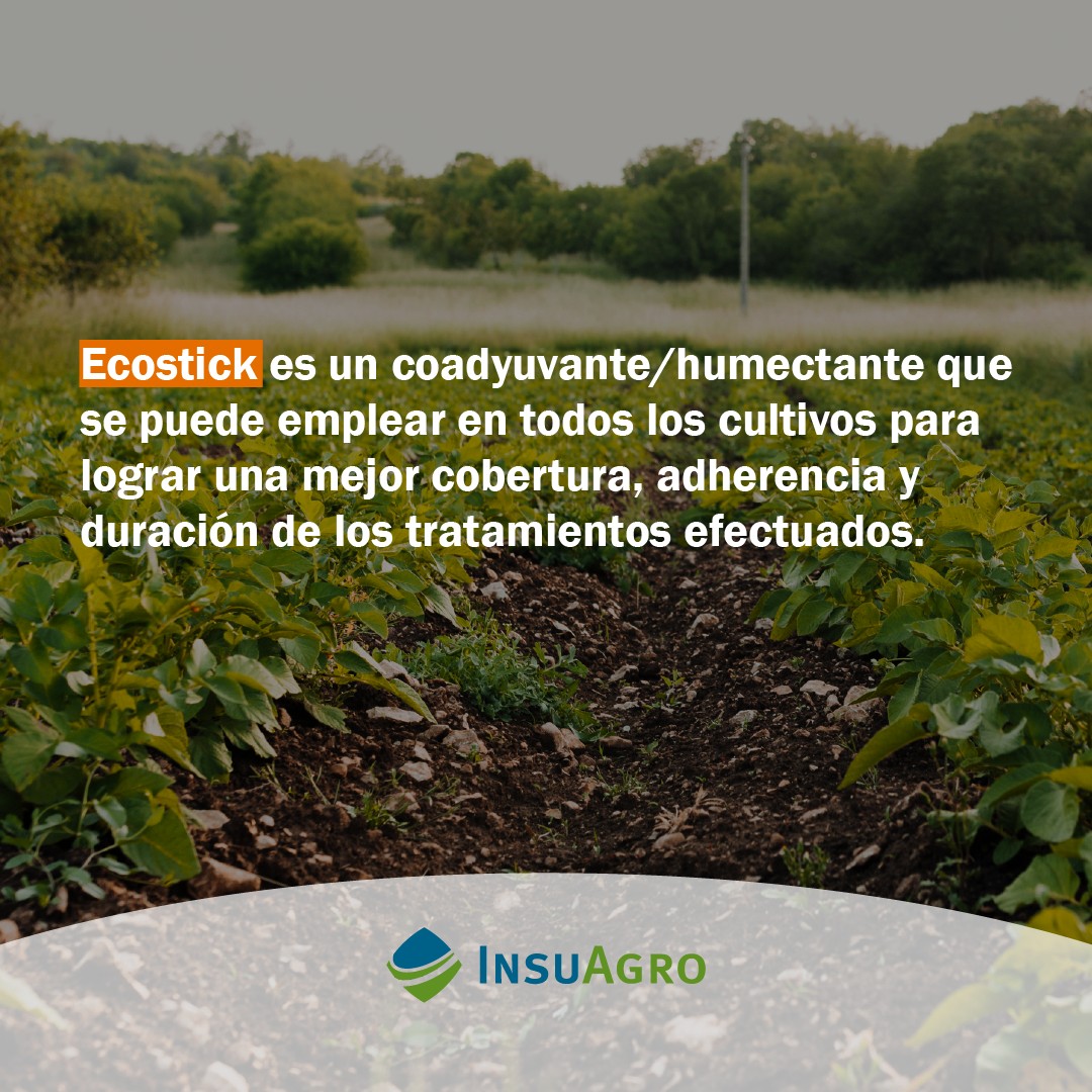 𝗘𝗖𝗢𝗦𝗧𝗜𝗖𝗞® 🌿 es efectividad en todas tus aplicaciones👊
𝗖𝗼𝗻𝘀𝘂𝗹𝘁𝗮𝗻𝗼𝘀 𝘀𝗼𝗯𝗿𝗲 𝗹𝗼 𝗾𝘂𝗲 𝗻𝗲𝗰𝗲𝘀𝗶𝘁𝗲𝘀 𝗽𝗮𝗿𝗮 𝘁𝘂 𝗰𝗼𝘀𝗲𝗰𝗵𝗮, 𝗲𝘀𝘁𝗮𝗺𝗼𝘀 𝗽𝗮𝗿𝗮 𝗮𝘆𝘂𝗱𝗮𝗿𝘁𝗲.
Para mayor info podes ingresar en nuestra web 📱 - [Link en Bio]