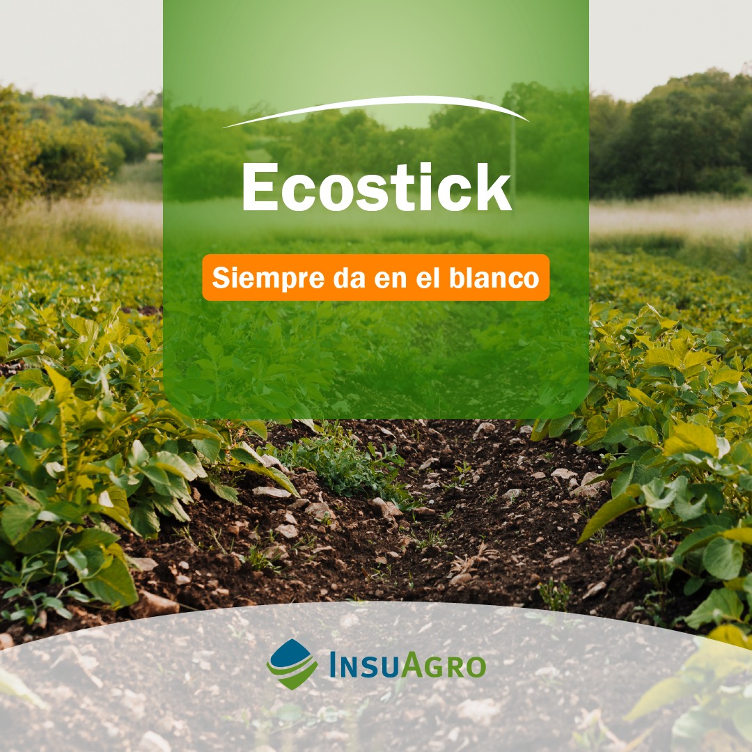 InsuAgro's tweet photo. 𝗘𝗖𝗢𝗦𝗧𝗜𝗖𝗞® 🌿 es efectividad en todas tus aplicaciones👊
𝗖𝗼𝗻𝘀𝘂𝗹𝘁𝗮𝗻𝗼𝘀 𝘀𝗼𝗯𝗿𝗲 𝗹𝗼 𝗾𝘂𝗲 𝗻𝗲𝗰𝗲𝘀𝗶𝘁𝗲𝘀 𝗽𝗮𝗿𝗮 𝘁𝘂 𝗰𝗼𝘀𝗲𝗰𝗵𝗮, 𝗲𝘀���𝗮𝗺𝗼𝘀 𝗽𝗮𝗿𝗮 𝗮𝘆𝘂𝗱𝗮𝗿𝘁𝗲.
Para mayor info podes ingresar en nuestra web 📱 - [Link en Bio] https://t.co/SrOmcpXcEN