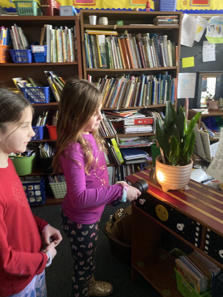 plitberg's tweet photo. Firsties experimenting with flashlights to learn about light! ⁦@AHSD25Patton⁩ https://t.co/BqFFq0vjQf